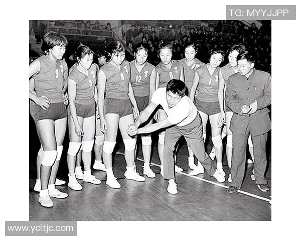 上海排球队在排球比赛经验排行榜中荣获第五名的荣耀之路 上海排球队在排球比赛经验排行榜中荣获第五名的荣耀之路