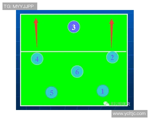 上海排球队节奏对比分析揭示战术优势与不足之处 上海排球队节奏对比分析揭示战术优势与不足之处