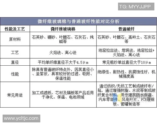 南京羽毛球队转型之路的成败得失与未来展望分析 南京羽毛球队转型之路的成败得失与未来展望分析