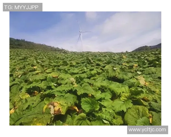 西安篮球队防守革新之路:从传统到现代的转型与挑战 西安篮球队防守革新之路:从传统到现代的转型与挑战