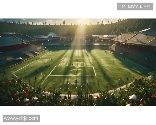 足球明星精彩瞬间集锦回顾展现球场魅力与激情的完美时刻 足球明星精彩瞬间集锦回顾展现球场魅力与激情的完美时刻