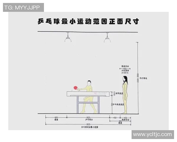 乒乓球新手攻略：状态入门指南
