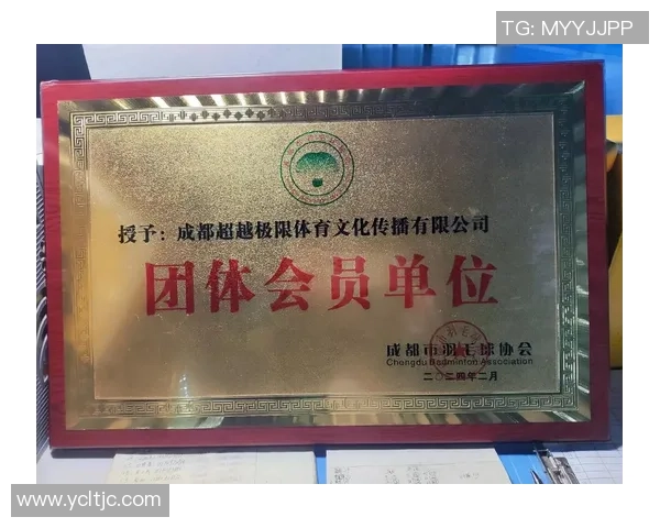 挑战赛点评：成都羽毛球队的个人能力表现